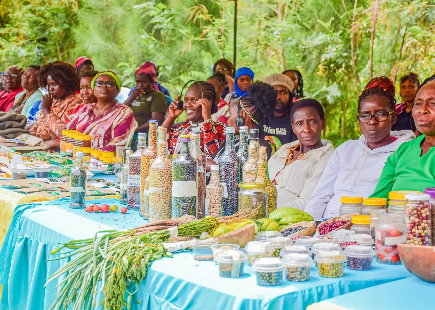 Seed Fairs and Public Engagement